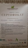 Документ