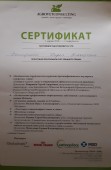 Документ