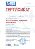 Документ