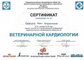 Документ